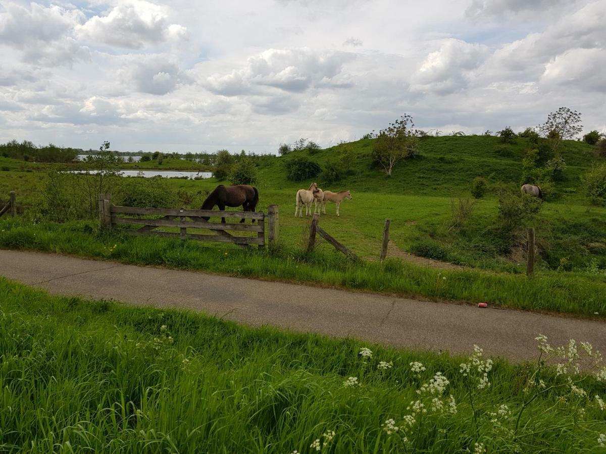 Het Gildehuis Met Sauna En Jacuzzi Stevensweert المظهر الخارجي الصورة